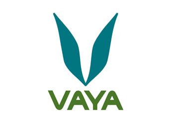 Vaya
