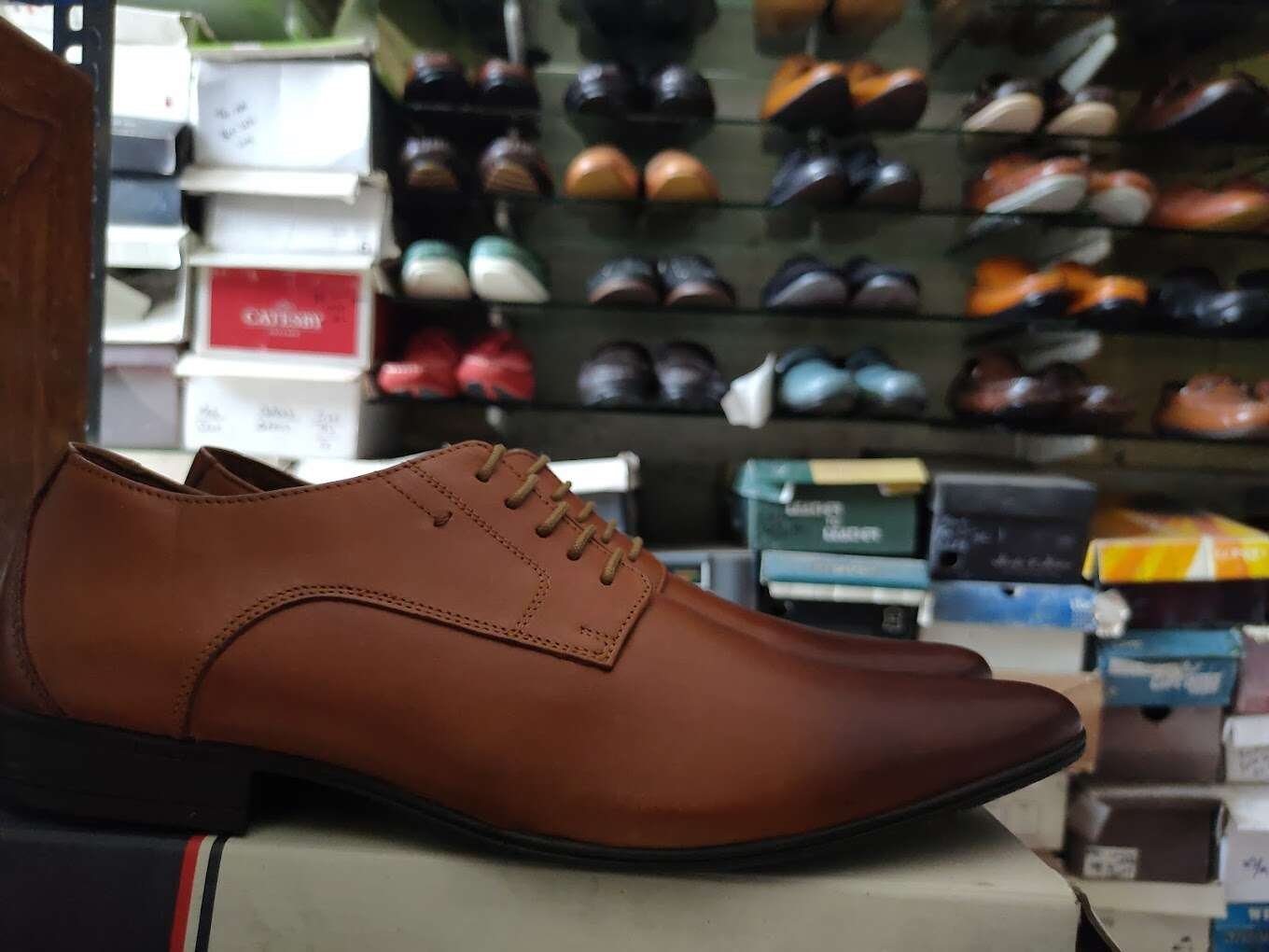 Zia Expo Shoes
