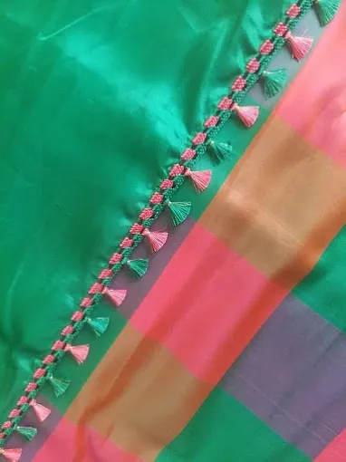 Sai saree dazzles designer