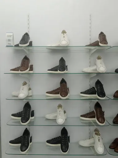 Rafael store chennai